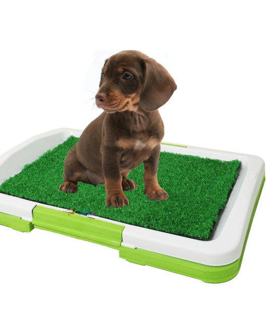 Lettiera Maxi Per Cucciolo Cane Erba Wc Panno Assorbente Potty Cuccioli Casa         