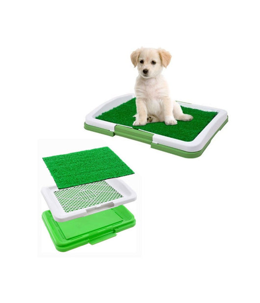 Lettiera Maxi Per Cucciolo Cane Erba Wc Panno Assorbente Potty Cuccioli Casa         