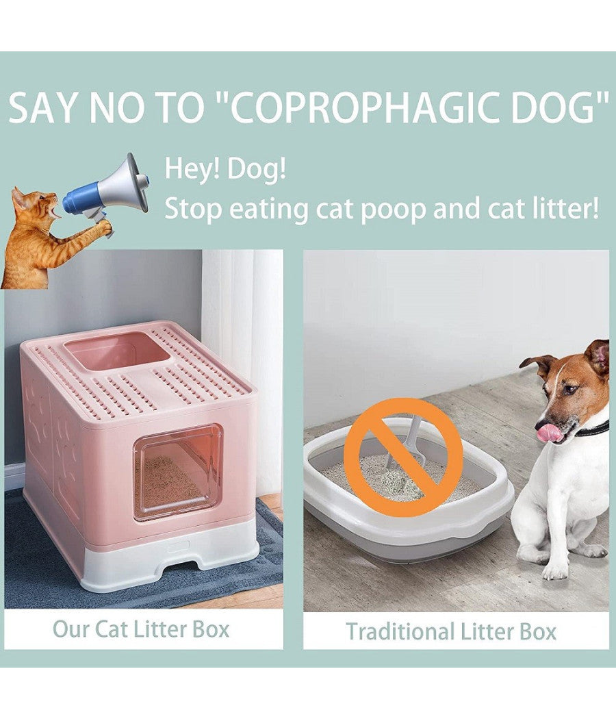 Lettiera Per Gatti Con Ingresso Dall'alto Coperchio Toilette Paletta In Plastica         