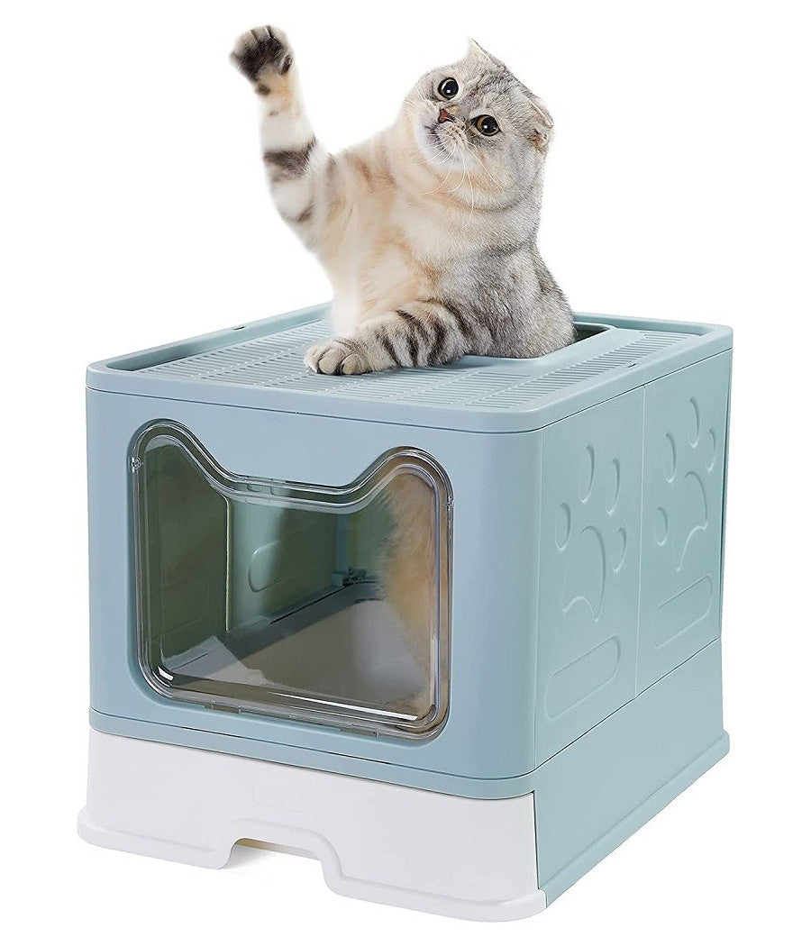 Lettiera Per Gatti Con Ingresso Dall'alto Coperchio Toilette Paletta In Plastica         