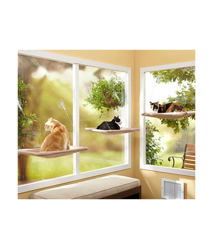 Lettino Lavabile Per Gatti A Muro Con Ventose 50 X 25 Cm X 7,5 Kg         