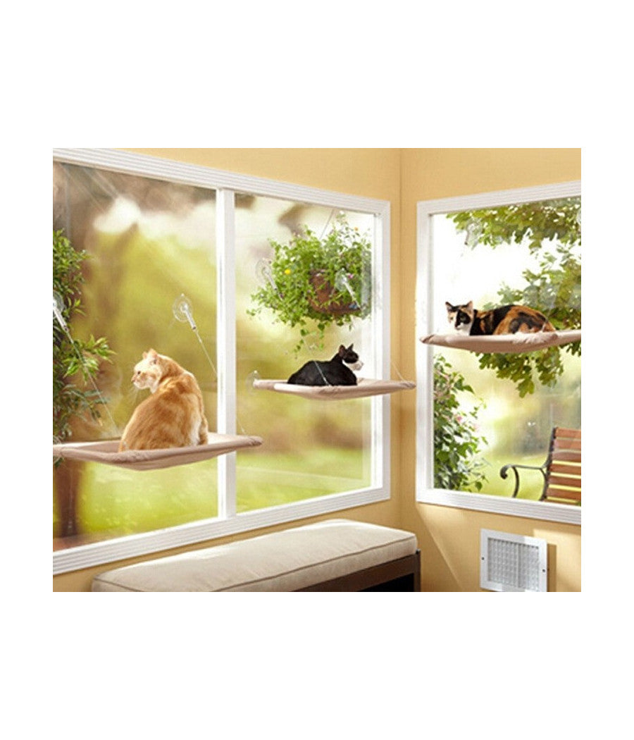 Lettino Lavabile Per Gatti A Muro Con Ventose 50 X 25 Cm X 7,5 Kg         