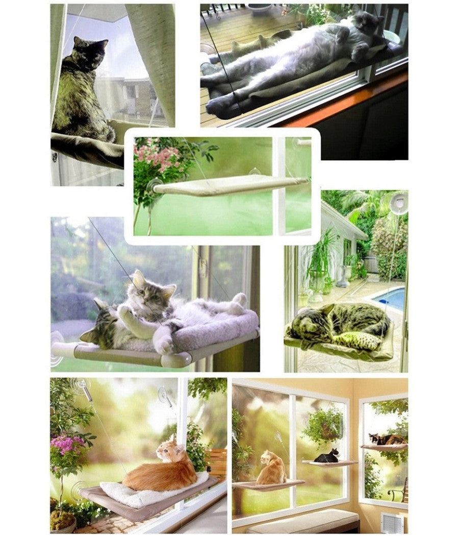 Lettino Lavabile Per Gatti A Muro Con Ventose 50 X 25 Cm X 7,5 Kg         