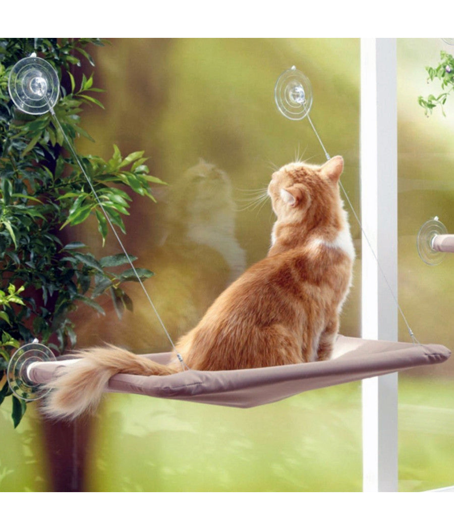 Lettino Lavabile Per Gatti A Muro Con Ventose 50 X 25 Cm X 7,5 Kg         