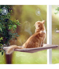 Lettino Lavabile Per Gatti A Muro Con Ventose 50 X 25 Cm X 7,5 Kg         