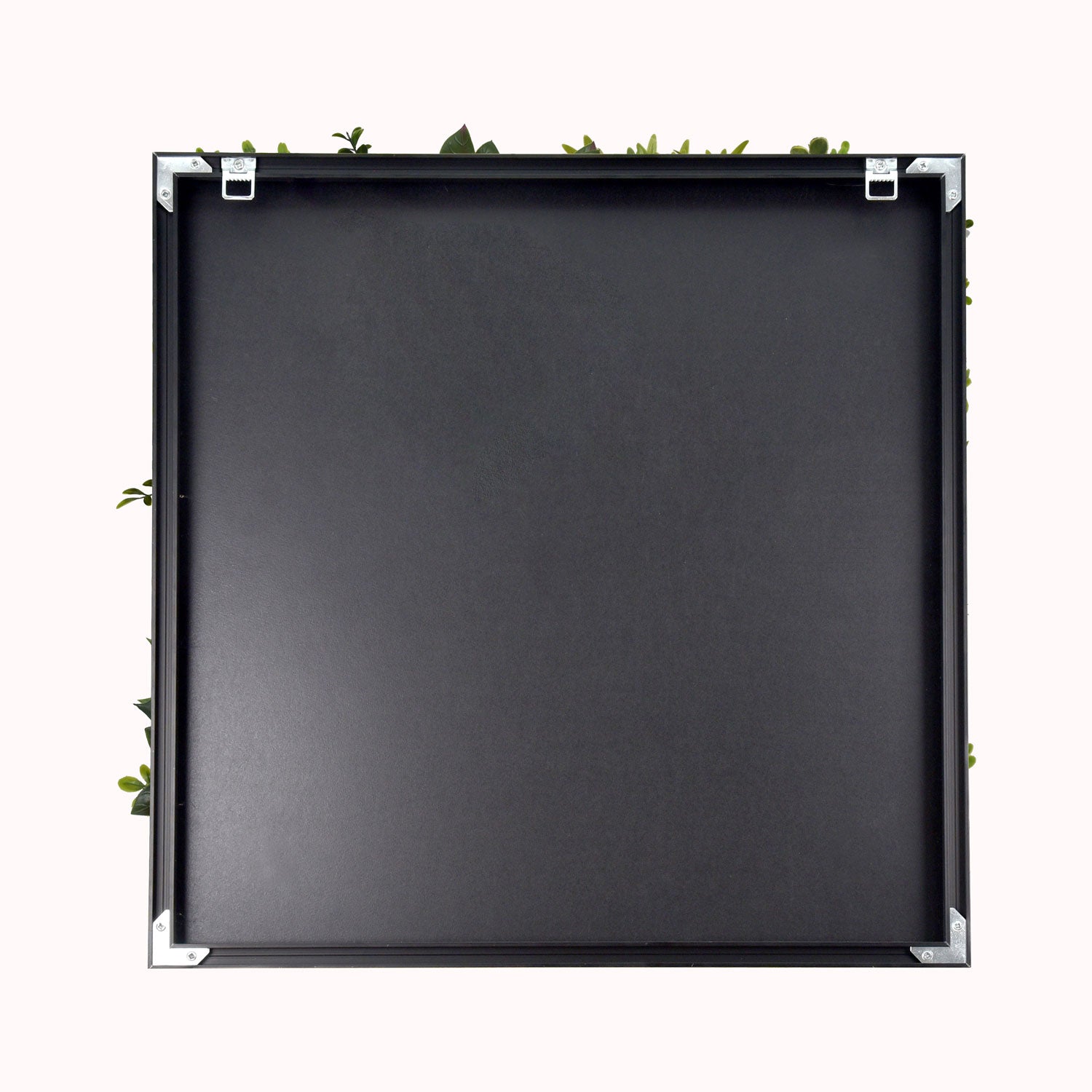 Liana - Quadro vegetale con foglie e fiori, cornice nera in PVC, 50x50 cm
