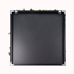 Liana - Quadro vegetale con foglie e fiori, cornice nera in PVC, 50x50 cm