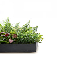 Liana - Quadro vegetale con foglie e fiori, cornice nera in PVC, 50x50 cm