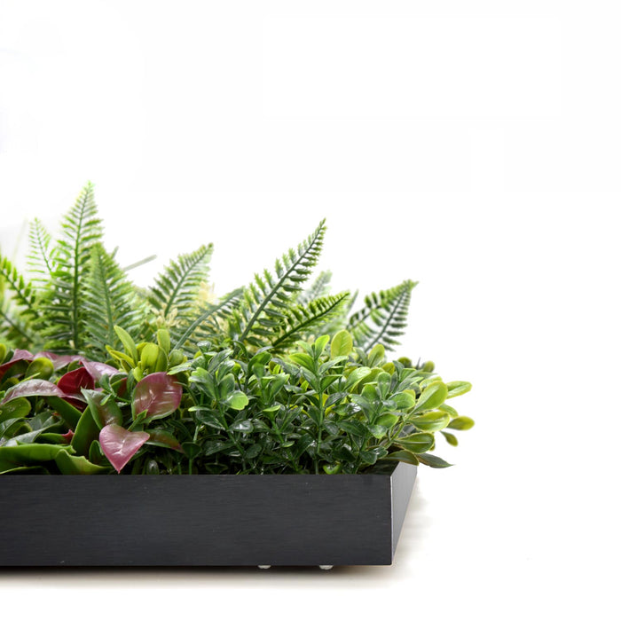 Liana - Quadro vegetale con foglie e fiori, cornice nera in PVC, 50x50 cm