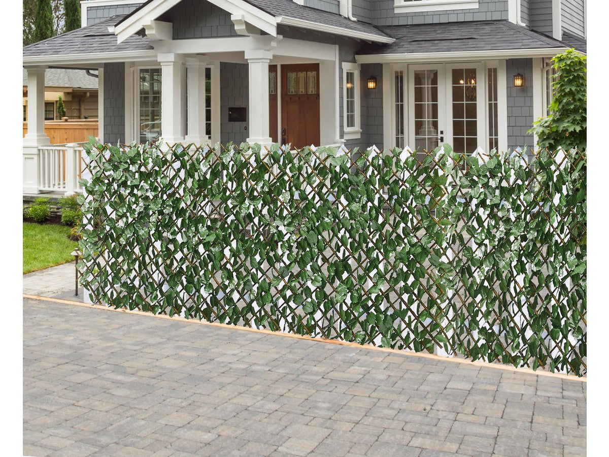 Set di 2 recinzioni in salice