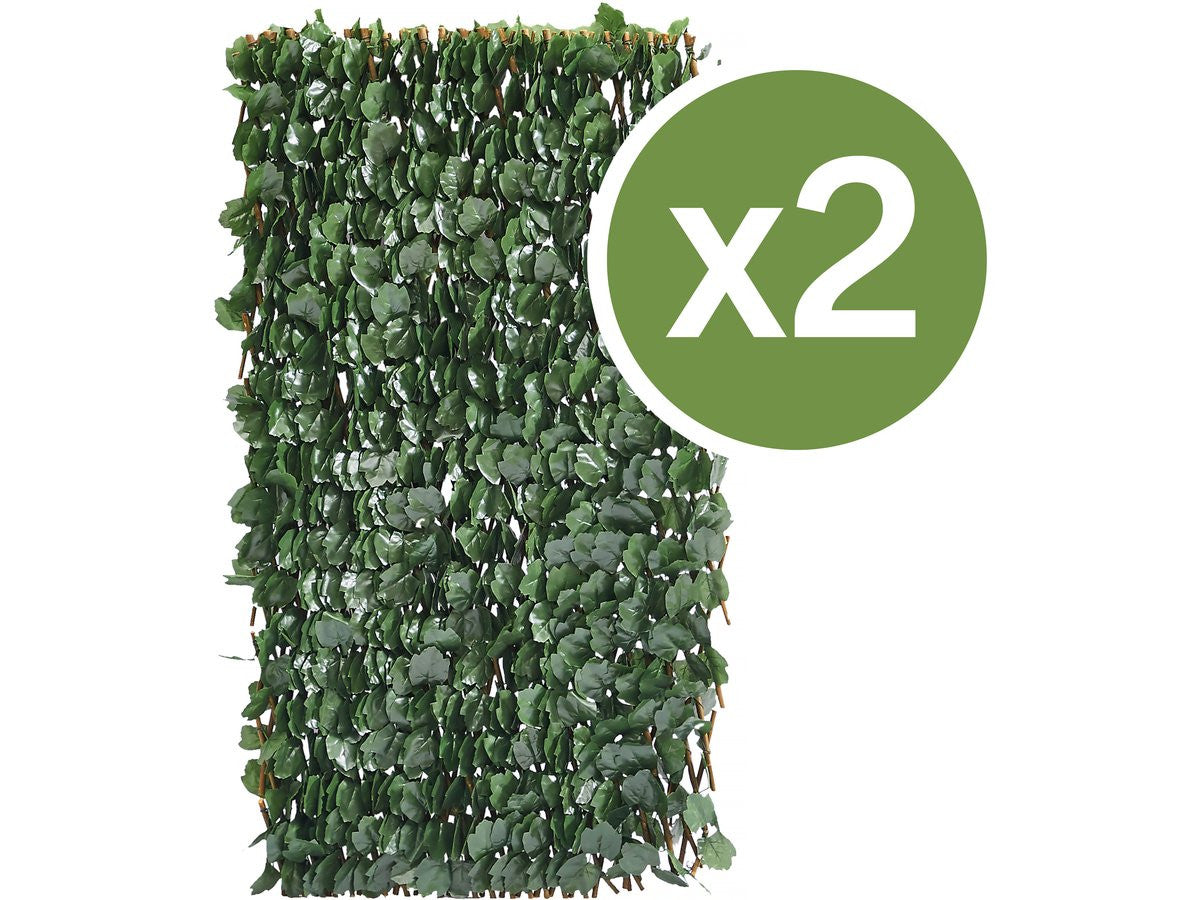 Set di 2 recinzioni in salice