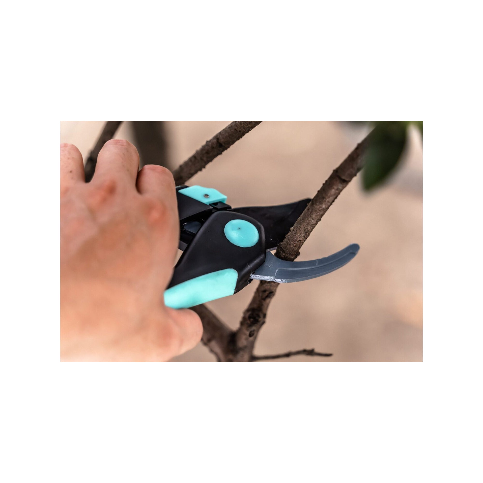 Set di 2 forbici da potatura - Suan - Lama dritta e lama a incudine - Acciaio