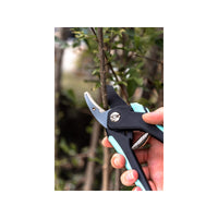 Set di 2 forbici da potatura - Suan - Lama dritta e lama a incudine - Acciaio