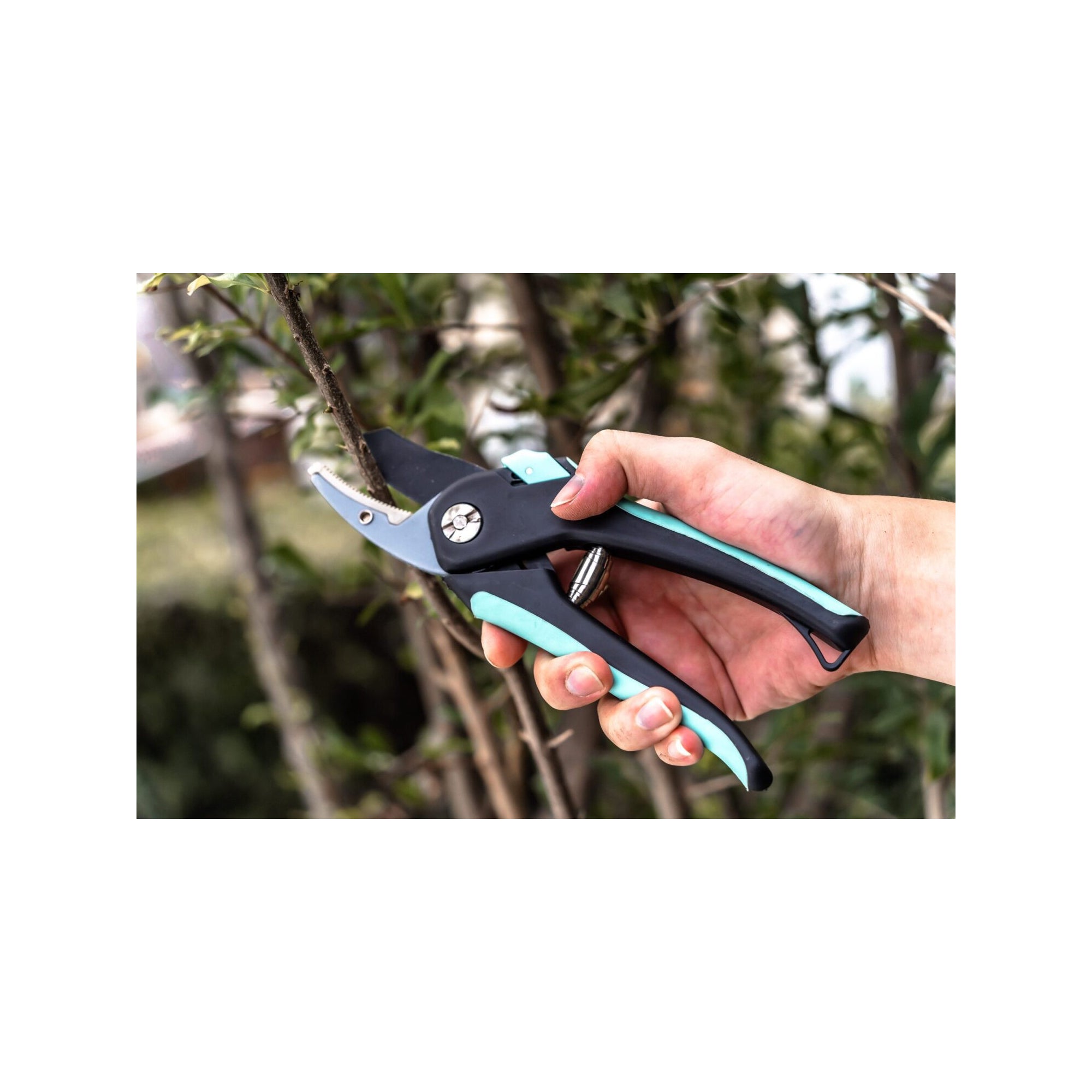 Set di 2 forbici da potatura - Suan - Lama dritta e lama a incudine - Acciaio