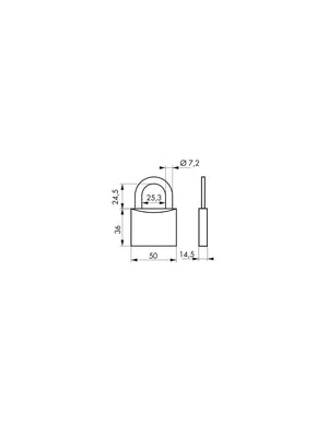 Lucchetto a chiave Tipo 1, ottone, interno, arco in acciaio, 50mm, 3 chiavi - THIRARD