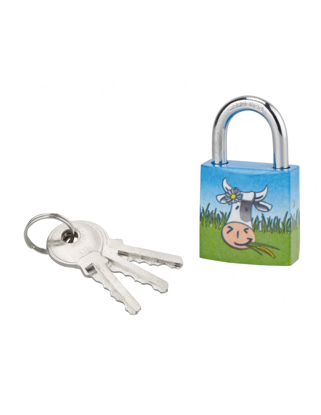 Lucchetto Mucca 8, acciaio, interno, arco in acciaio, 30mm, 3 chiavi - THIRARD