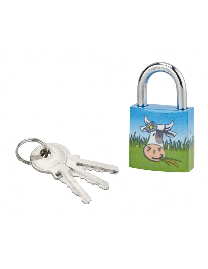 Lucchetto Mucca 8, acciaio, interno, arco in acciaio, 30mm, 3 chiavi - THIRARD