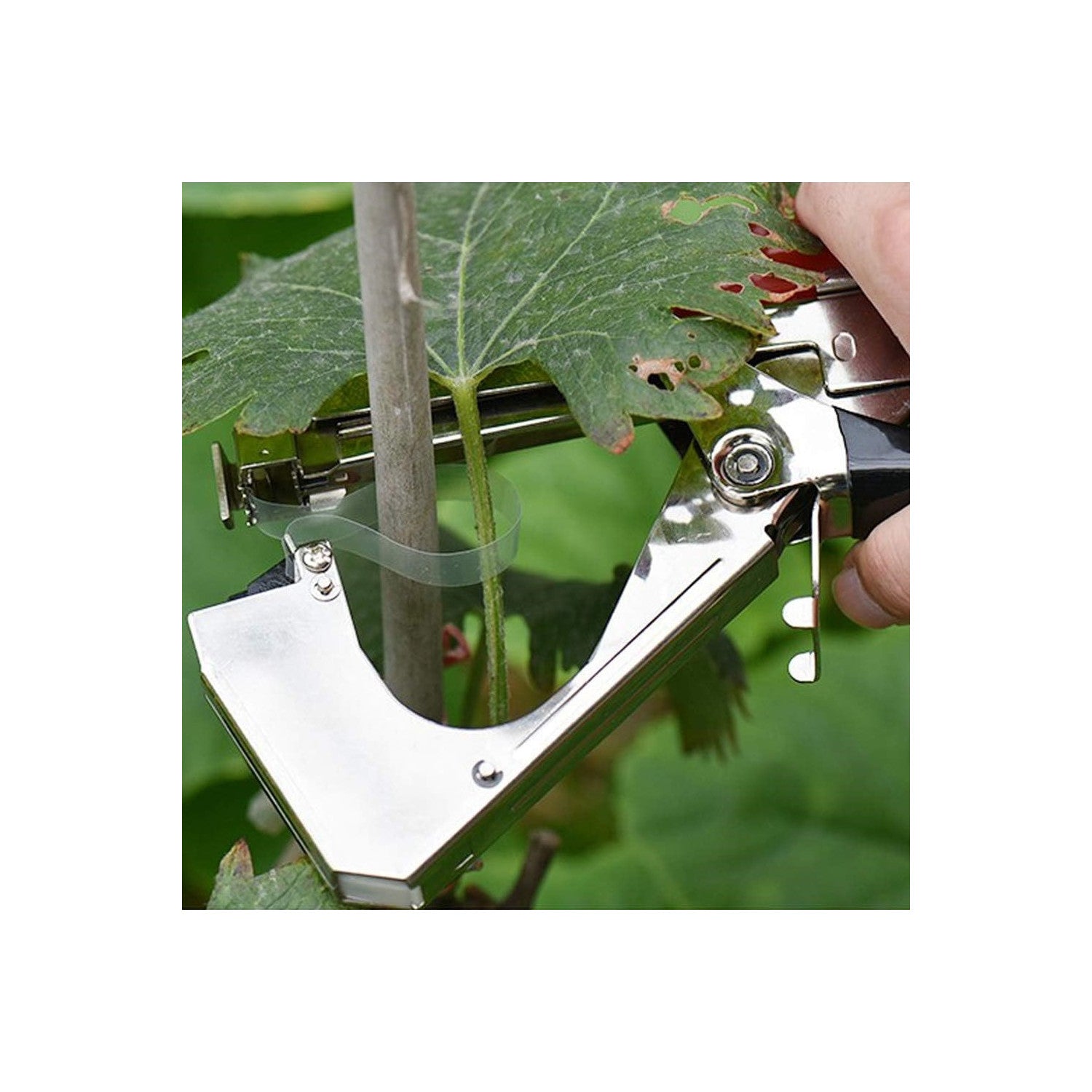 Trade Shop - Macchina Legatura A Mano Ramo Imballaggio Stelo Reggiatura Attrezzo Da Giardino         