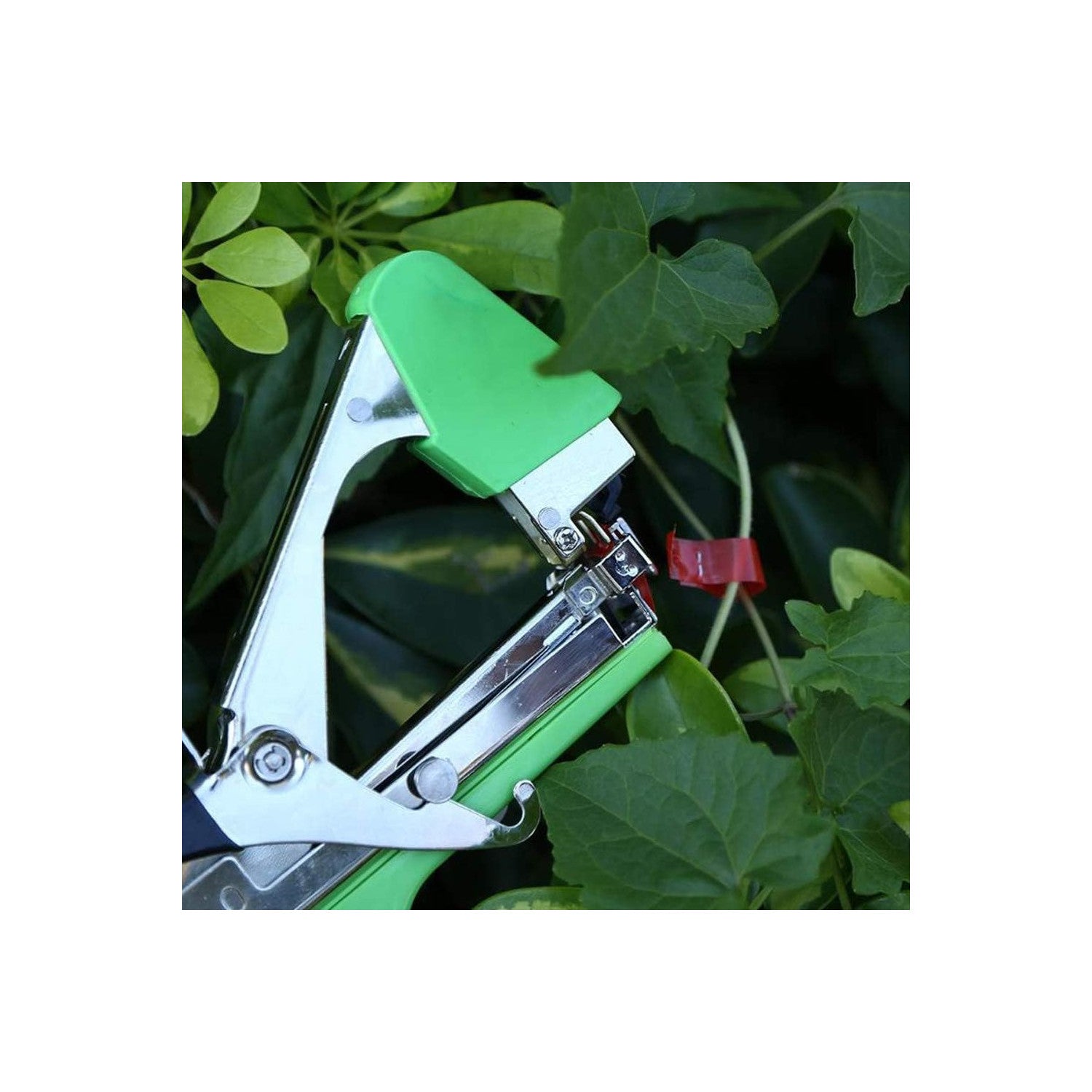 Trade Shop - Macchina Legatura A Mano Ramo Imballaggio Stelo Reggiatura Attrezzo Da Giardino         