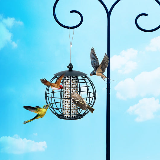Mangiatoia per uccellini da esterno antiscoiattolo, Mangiatoia per uccelli selvatici in metallo capacit¨¤ 3kg-Altri animali