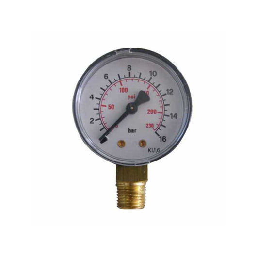 Manometro Vasi Espansione 1/4"