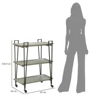 Carrello Industry Cm 80X46X100.5