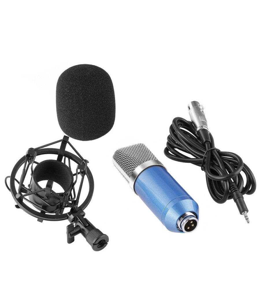 Microfono A Condensatore Per Studio Radiotelevisivo & Registrazione Jimdl-700         