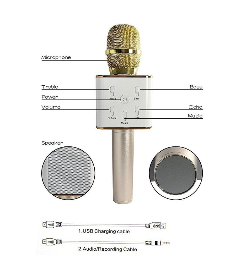 Microfono Bluetooth Wireless Doppio Altoparlante Speaker Bluetooth Portatile         