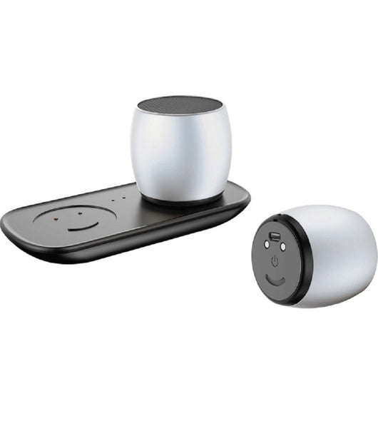 Mini Altoparlante Wireless Ricaricabili Bluetooth 3watt Durata Batteria 4 Ore Q1         