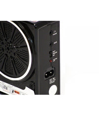 Mini Cassa Speacker Portatile Con Radio Fm Porta Usb Lettore Sd Mp3 Audio Musica         