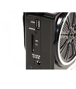 Mini Cassa Speacker Portatile Con Radio Fm Porta Usb Lettore Sd Mp3 Audio Musica         