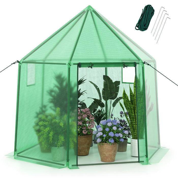 Mini serra portatile per esterno per inverno con copertura in PE per giardino-Serra per entrare porta con cerniera arrotolabile Verde