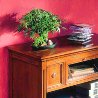 Porta tv classico in legno 2 cassetti 1 ribalta finitura bassano l.100 p.51 h.75 - Mobili 2G