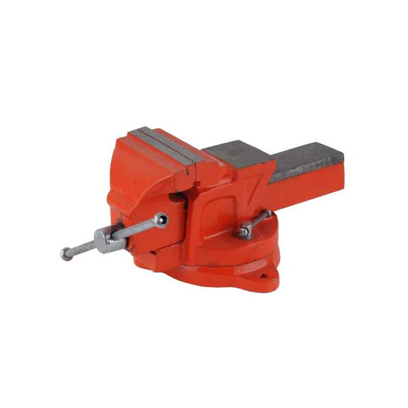 Morsa Ghisa Girevole 100 Doc 04506