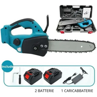 Motosega a Batteria per Potatura, Sega Elettrica 12 Pollici, con 2 Batterie