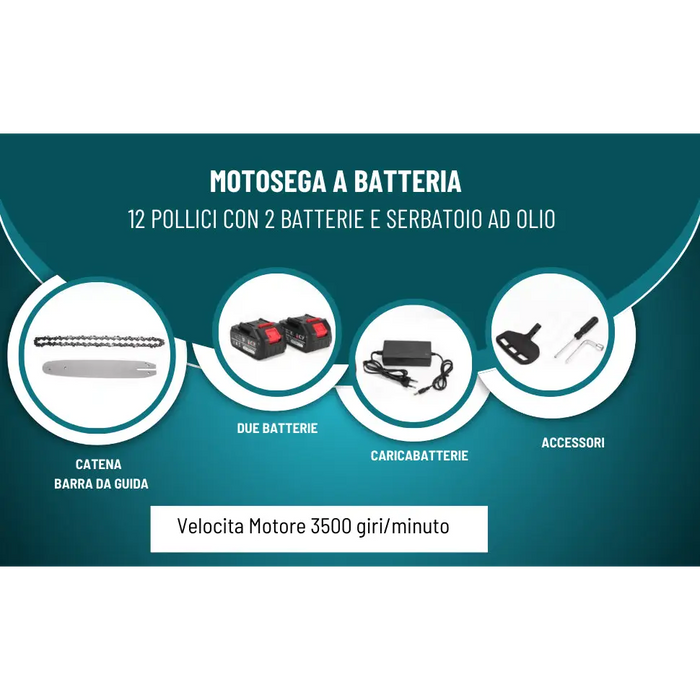 Motosega a Batteria per Potatura, Sega Elettrica 12 Pollici, con 2 Batterie