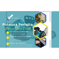 Motosega a Batteria per Potatura, Sega Elettrica 12 Pollici, con 2 Batterie