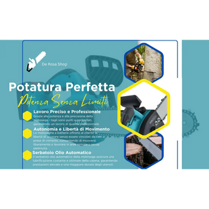 Motosega a Batteria per Potatura, Sega Elettrica 12 Pollici, con 2 Batterie