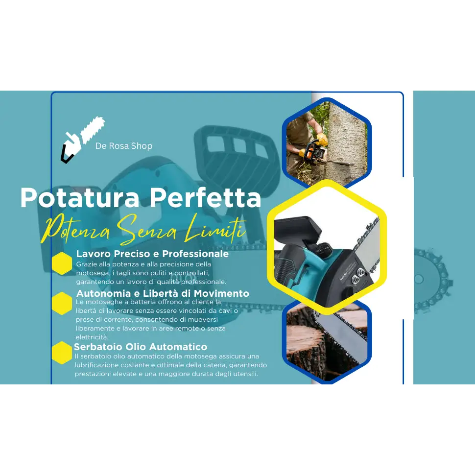 Motosega a Batteria per Potatura, Sega Elettrica 12 Pollici, con 2 Batterie