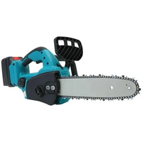 Motosega a Batteria per Potatura, Sega Elettrica 12 Pollici, con 2 Batterie