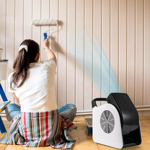 Mover d'aria utilitario con 3 velocit¨¤ e testa pivotante per asciugatura, Ventilatore da pavimento portatile Bianco-Controllo climatizzazione