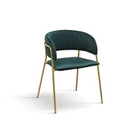 PAZZO DESIGN Sedia Penelope Verde set da 2 sedie in velluto e gambe in metallo