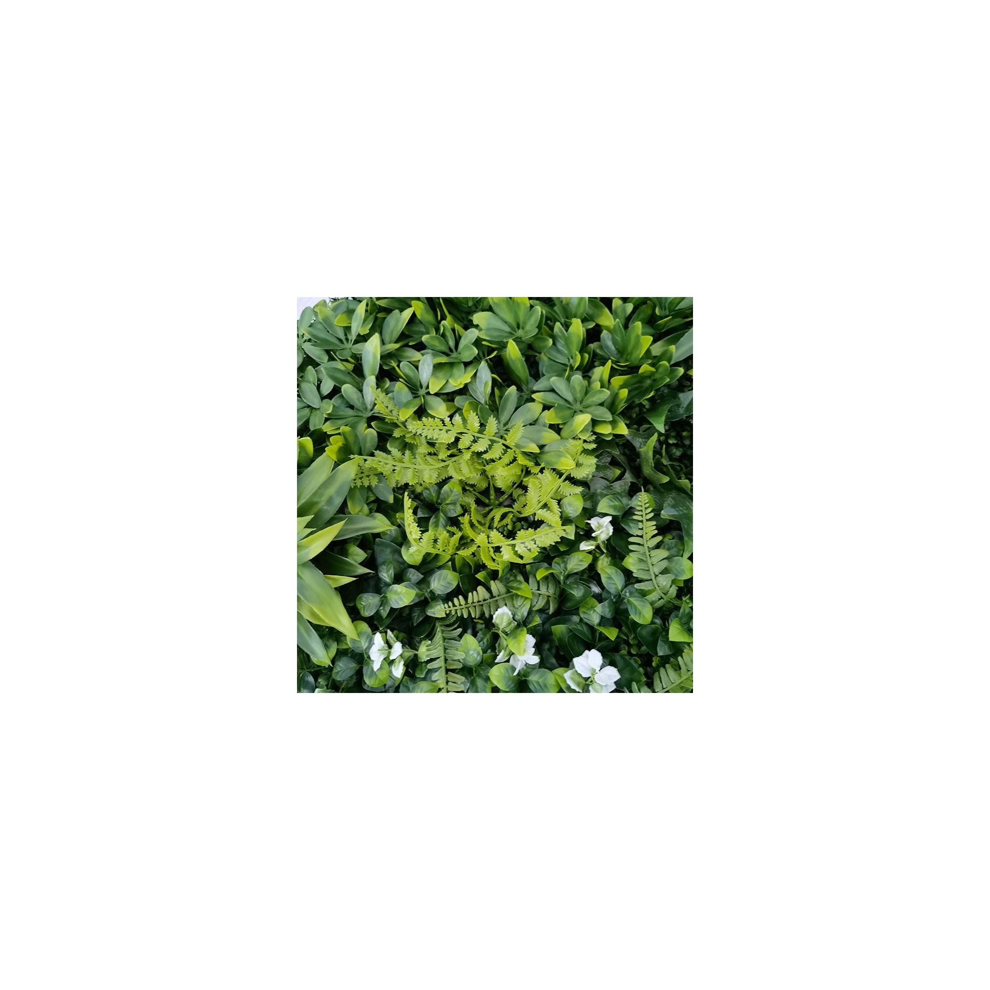 Pianta artificiale da parete - Modello a fiore bianco - Dimensioni: 100 x 100 cm