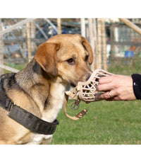 Museruola A Cestello In Plastica Per Cani Di Piccola Media Grande Taglia Sicura     S    