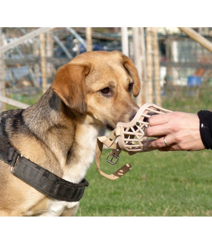 Museruola A Cestello In Plastica Per Cani Di Piccola Media Grande Taglia Sicura     Xl    