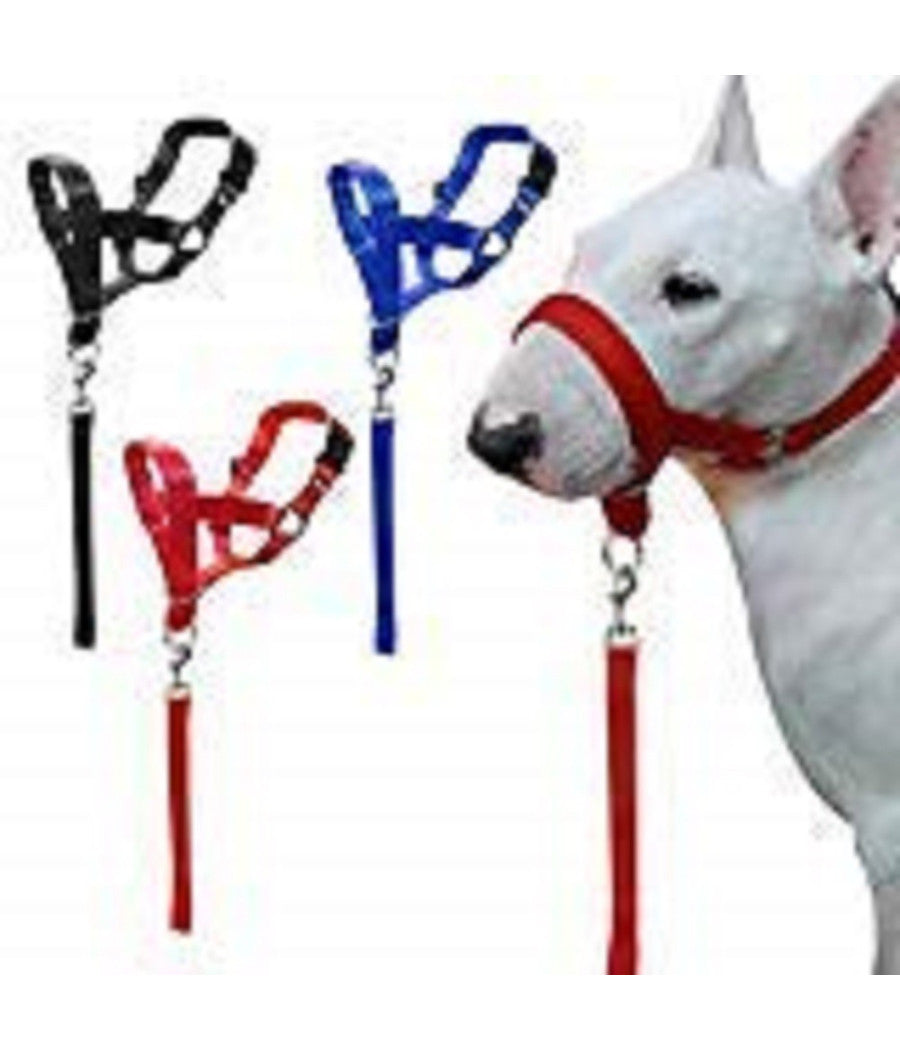 Museruola Da Addestramento Cane Nylon Collare Cintura Regolabile Taglia S M L Resistente     L    