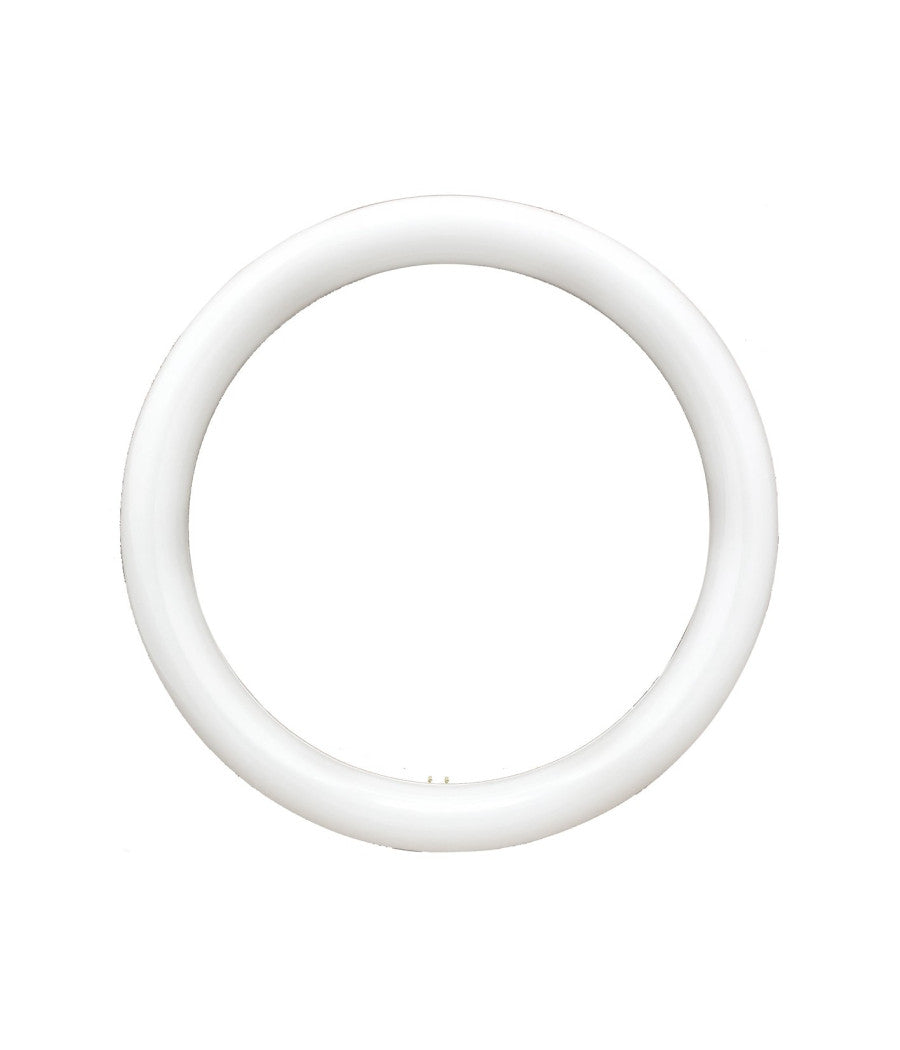 Neon Circolare Disco Lampada Circolina Lampadina 32w G10q 30cm 300mm Luce Fredda         