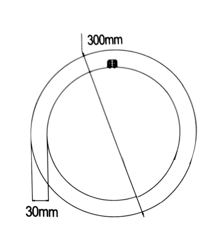 Neon Circolare Disco Lampada Circolina Lampadina 32w G10q 30cm 300mm Luce Fredda         