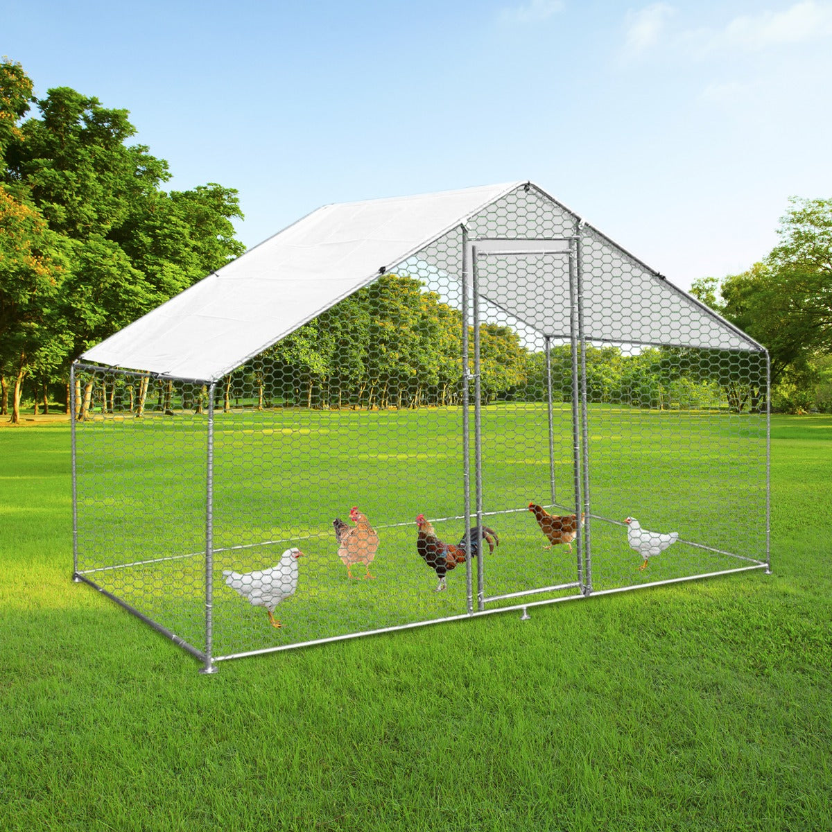 Gabbia Pollaio Recinto Recinzione Box Inox da Galline Pollame Polli 4m x 2m x 2m