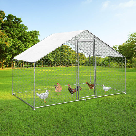 Gabbia Pollaio Recinto Recinzione Box Inox da Galline Pollame Polli 4m x 2m x 2m